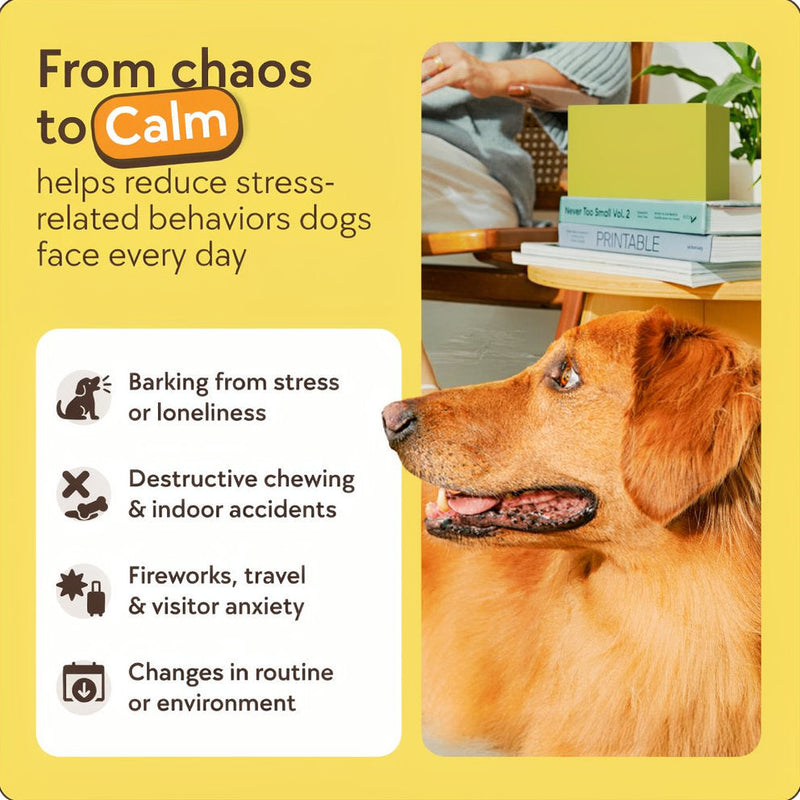 Try it in your home for 30 days.