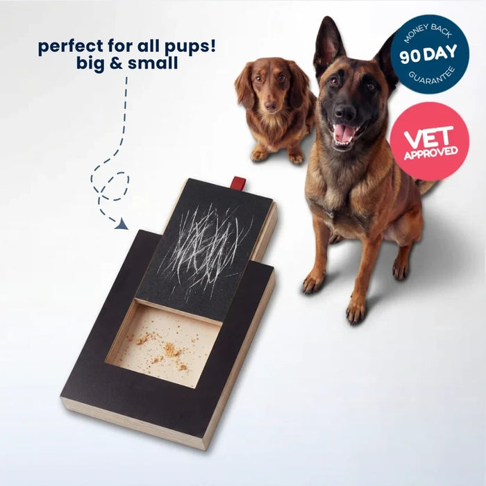 PawPal™ | Stress-Free Nail Care Board