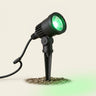 Green Outdoor LED Spotlight