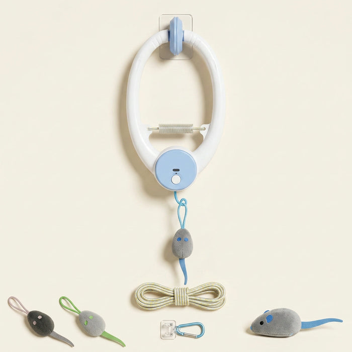 PawClaws Auto-Rebound Interactive Cat Toy